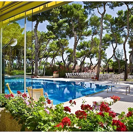 Parco Dei Principi מלון 4*