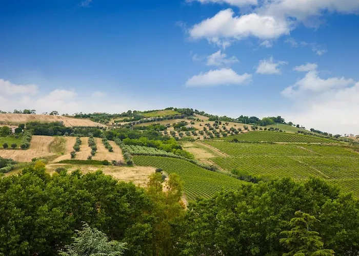 Parco Dei Principi Отель Джулианова